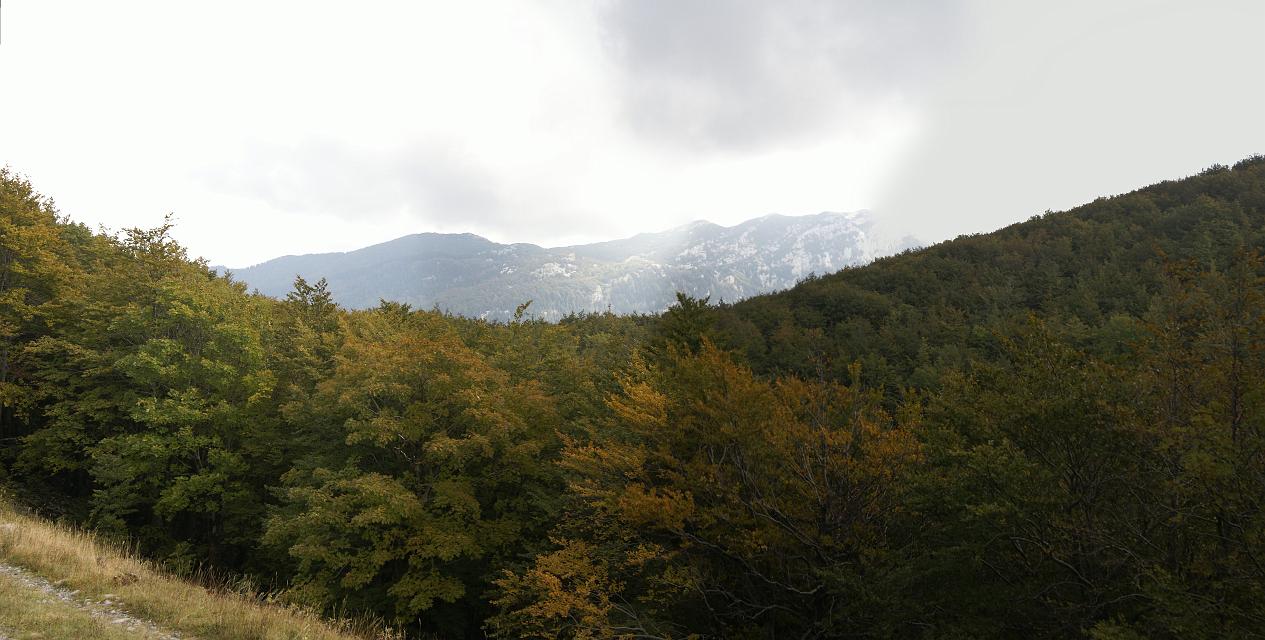 DSC08794-DSC08797_M1.jpg - View toward Risnjak from ascent to Snjeznik