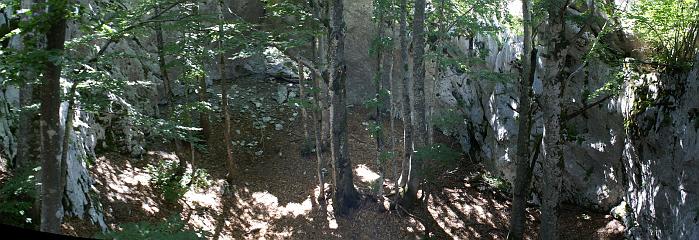 DSC03111-DSC03113-crop