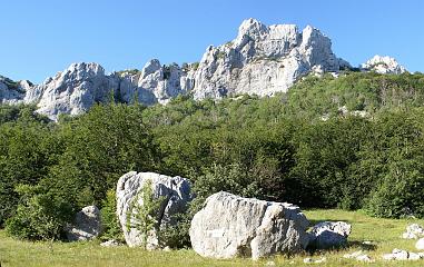 DSC03183-DSC03184-crop