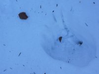 DSC00020  Krasno - Zavizan, Dec 14, 2013