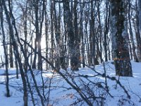 DSC00027  Krasno - Zavizan, Dec 14, 2013