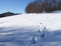 DSC00040  Krasno - Zavizan, Dec 14, 2013