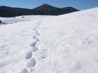 DSC00072  Krasno - Zavizan, Dec 14, 2013