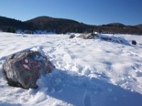 DSC00086  Krasno - Zavizan, Dec 14, 2013