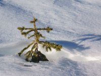 DSC00090  Krasno - Zavizan, Dec 14, 2013