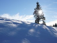 DSC00138  ZAvizan - Krasno, Dec 15, 2013