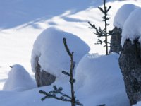 DSC00147  ZAvizan - Krasno, Dec 15, 2013