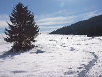 DSC00160  ZAvizan - Krasno, Dec 15, 2013