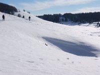 DSC00165  ZAvizan - Krasno, Dec 15, 2013