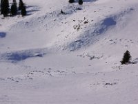 DSC00174  ZAvizan - Krasno, Dec 15, 2013