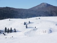 DSC00185  ZAvizan - Krasno, Dec 15, 2013