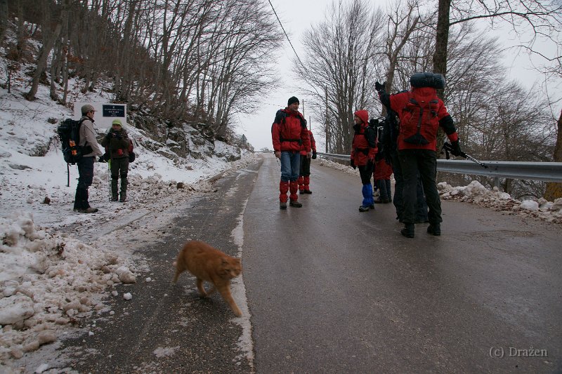 DSC07876.JPG - Garfild nas ispraća