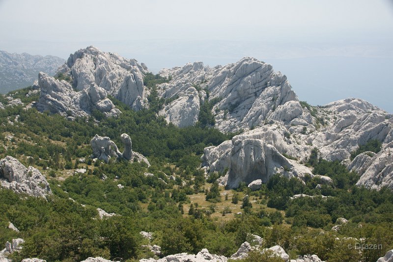 DSC06345.JPG - Jagin kuk