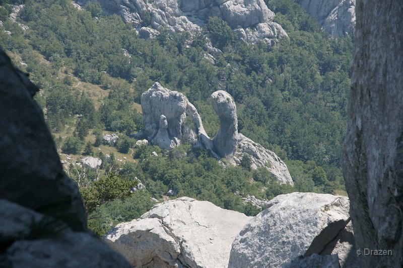 DSC06373.JPG - Jagin kuk