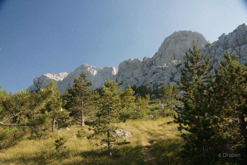 DSC06559.JPG - Bojinac